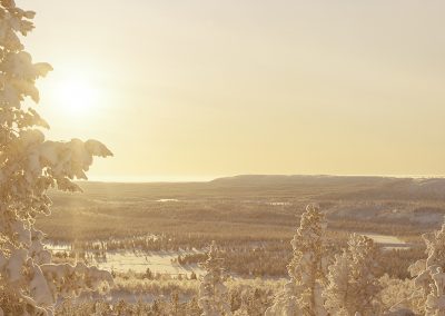 Northern landscapes